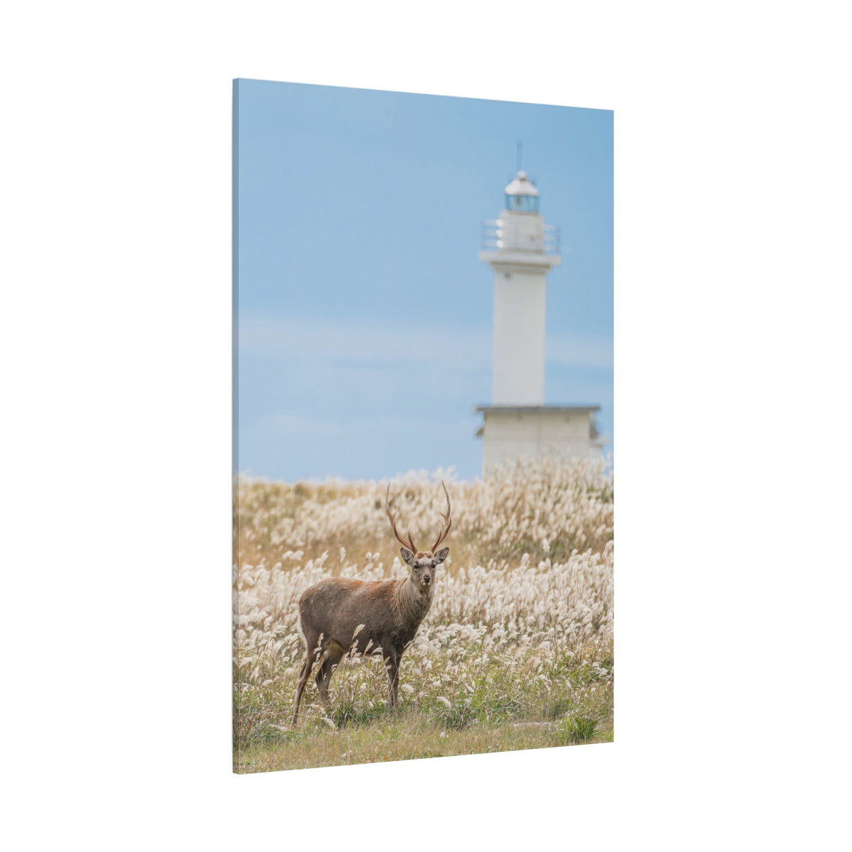 Hokkaido Sika Deer Canvas Wall Art – Majestic Wildlife Beauty - ART OF ROYALS