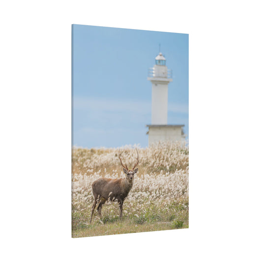 Hokkaido Sika Deer Canvas Wall Art – Majestic Wildlife Beauty - ART OF ROYALS