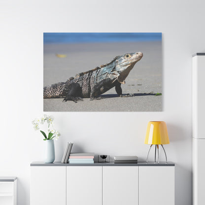 Iguana Lizard Reptile Beach Canvas Wall Art - ART OF ROYALS