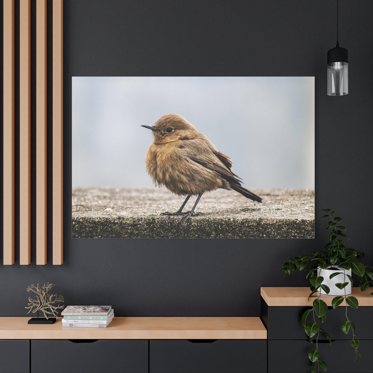 Indian Chat Bird Canvas Wall Art - ART OF ROYALS