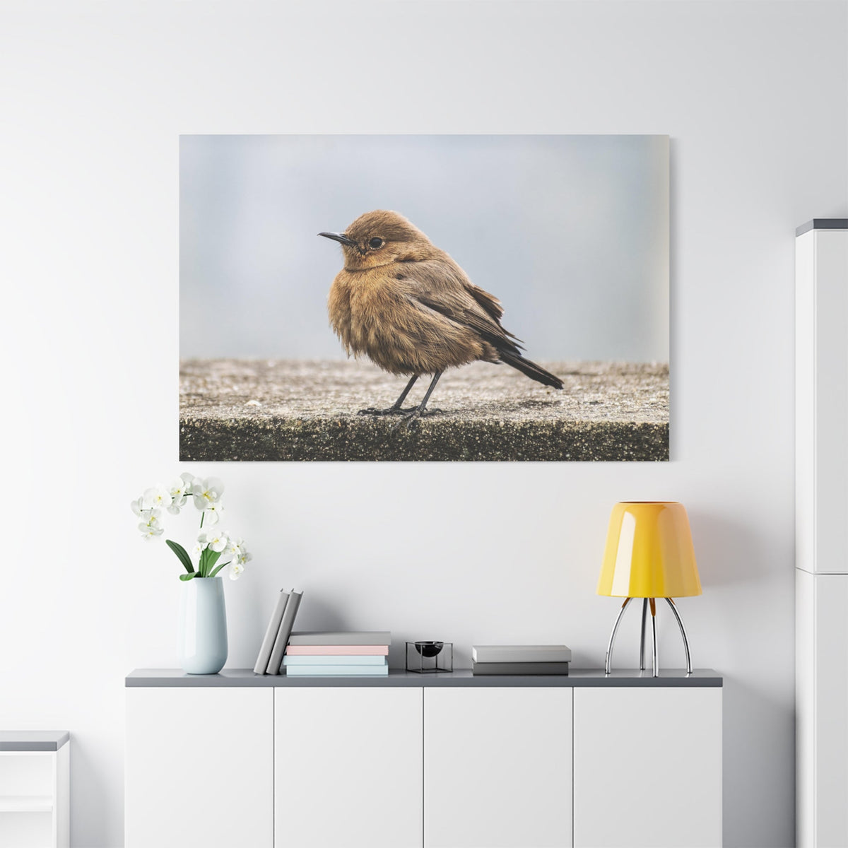Indian Chat Bird Canvas Wall Art - ART OF ROYALS
