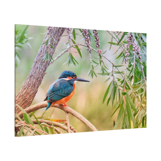 Kingfisher Canvas Wall Art – Vibrant Wildlife Elegance - ART OF ROYALS