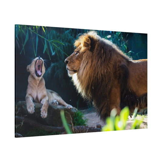 Lioness and Lions Canvas Wall Art – Grace of the Wild Life - ART OF ROYALS