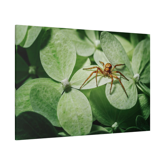 Macro Spider Canvas Wall Art – Nature’s Intricate Predator Up Close - ART OF ROYALS