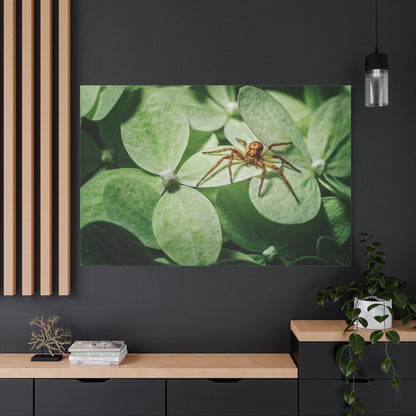 Macro Spider Canvas Wall Art – Nature’s Intricate Predator Up Close - ART OF ROYALS