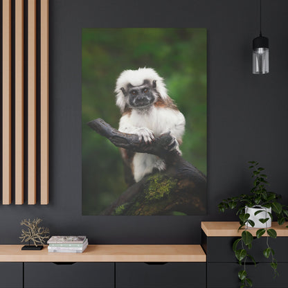 Majestic Cotton Top Tamarin Canvas Wall Art – Wildlife-Inspired Décor - ART OF ROYALS
