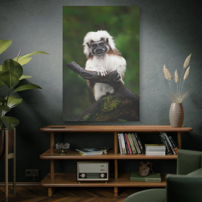 Majestic Cotton Top Tamarin Canvas Wall Art – Wildlife-Inspired Décor - ART OF ROYALS