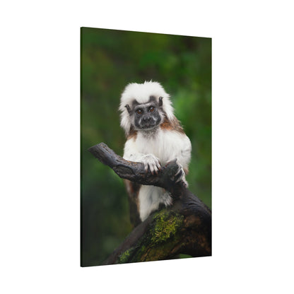 Majestic Cotton Top Tamarin Canvas Wall Art – Wildlife-Inspired Décor - ART OF ROYALS