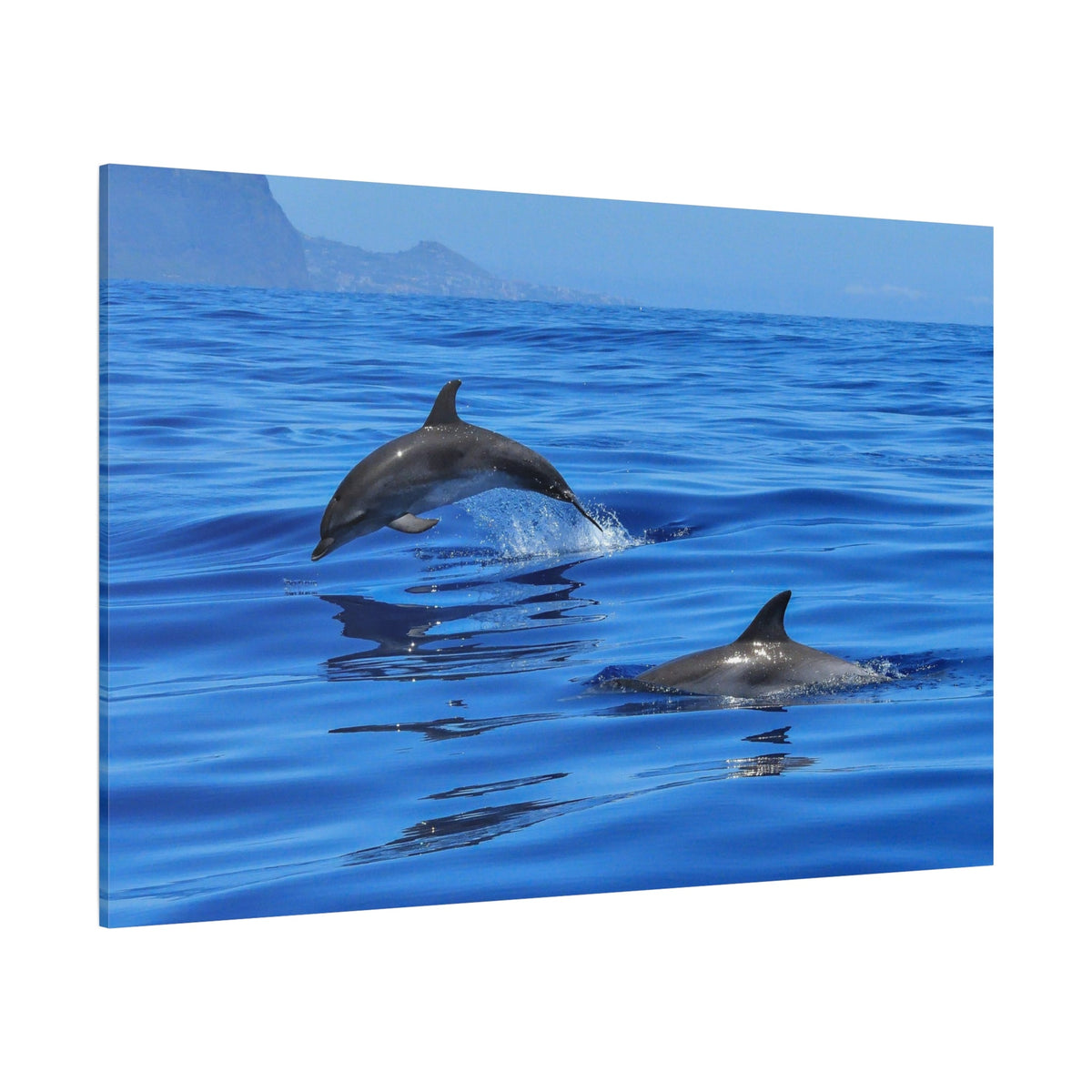 Majestic Dolphin in Ocean Bliss – Nature’s Elegance - ART OF ROYALS