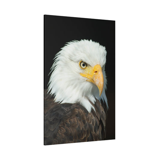 Majestic Eagle Head Canvas Wall Art – Wildlife Photography for Nature Enthusiasts - ART OF ROYALS