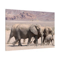 Majestic Elephant Canvas Wall Art