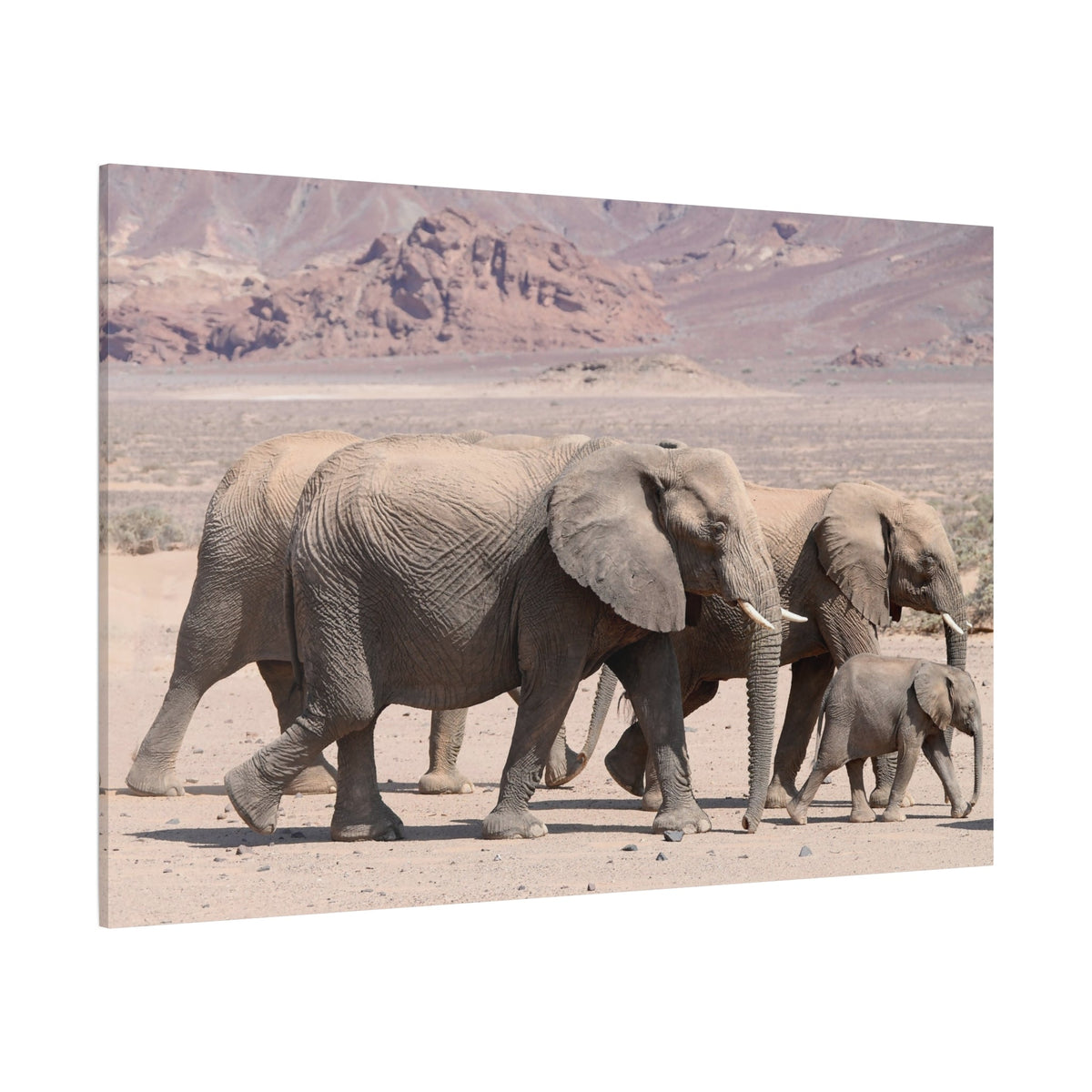 Majestic Elephant Canvas Wall Art - ART OF ROYALS