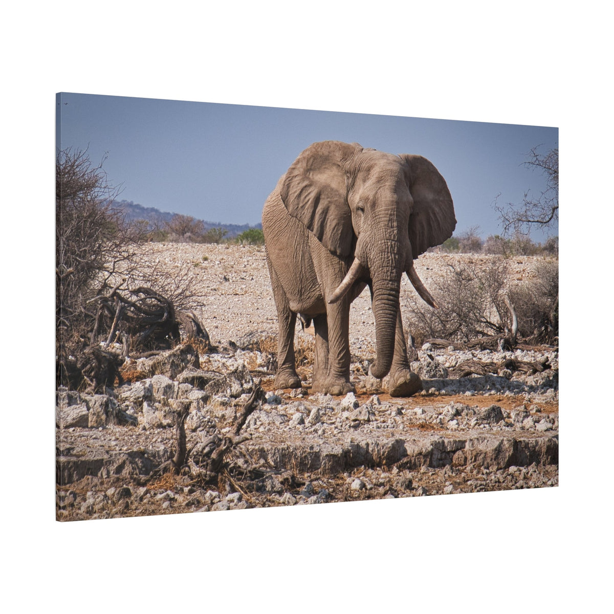 Majestic Elephant Canvas Wall Art – Power and Grace of the Wild - ART OF ROYALS