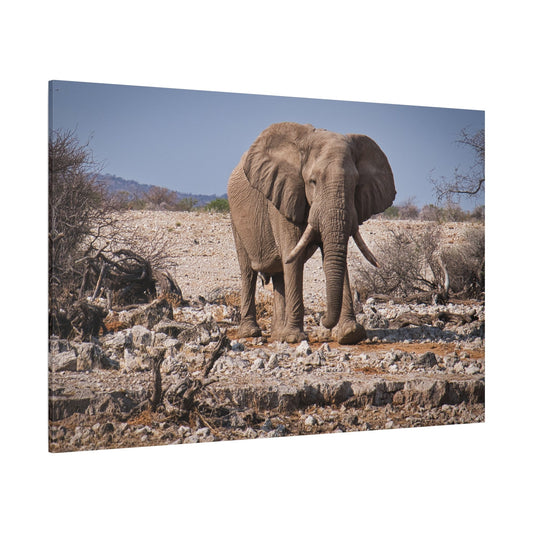 Majestic Elephant Canvas Wall Art – Power and Grace of the Wild - ART OF ROYALS