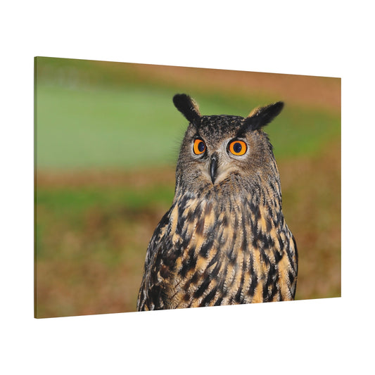 Majestic European Eagle Owl Canvas Wall Art - ART OF ROYALS