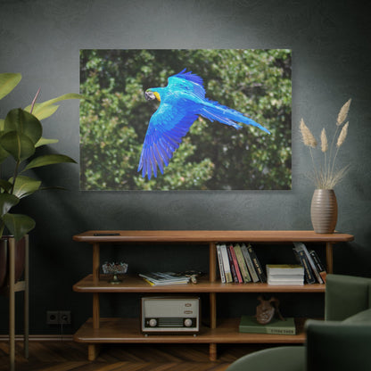 Majestic Flight: Blue Macaw Canvas Wall Art - ART OF ROYALS