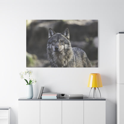 Majestic Gray Wolf Canvas Wall Art – Wild Elegance Redefined - ART OF ROYALS