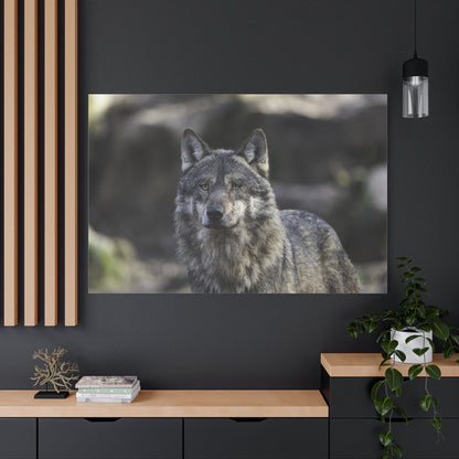 Majestic Gray Wolf Canvas Wall Art – Wild Elegance Redefined - ART OF ROYALS