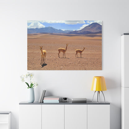 Majestic Guanaco Canvas Wall Art – Wildlife Elegance in the Wilds of Chile - ART OF ROYALS