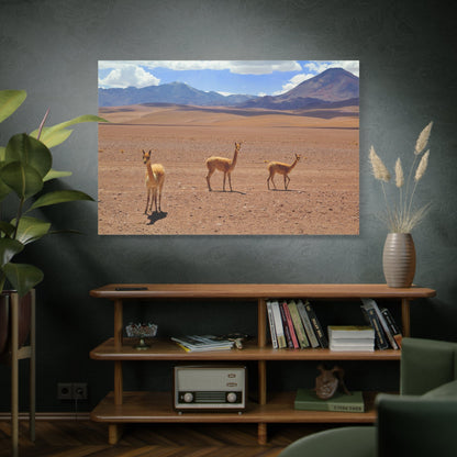 Majestic Guanaco Canvas Wall Art – Wildlife Elegance in the Wilds of Chile - ART OF ROYALS