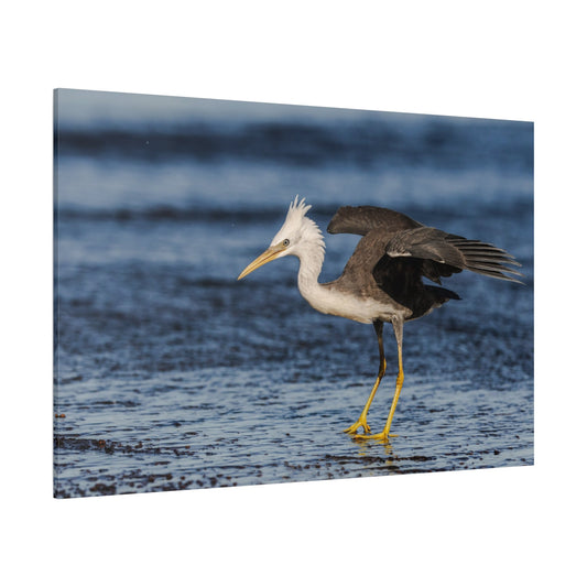 Majestic Heron Canvas Wall Art – Luxury Coastal Bird Wildlife Canvas Print - ART OF ROYALS