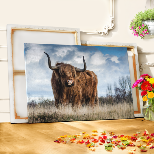 Majestic Highland Cow – Rustic Wildlife Photography Print - ART OF ROYALS