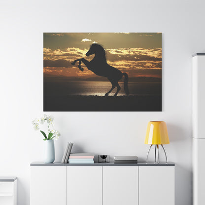 Majestic Horse Sunset Silhouette Canvas Wall Art – Grace and Strength of the Wild - ART OF ROYALS