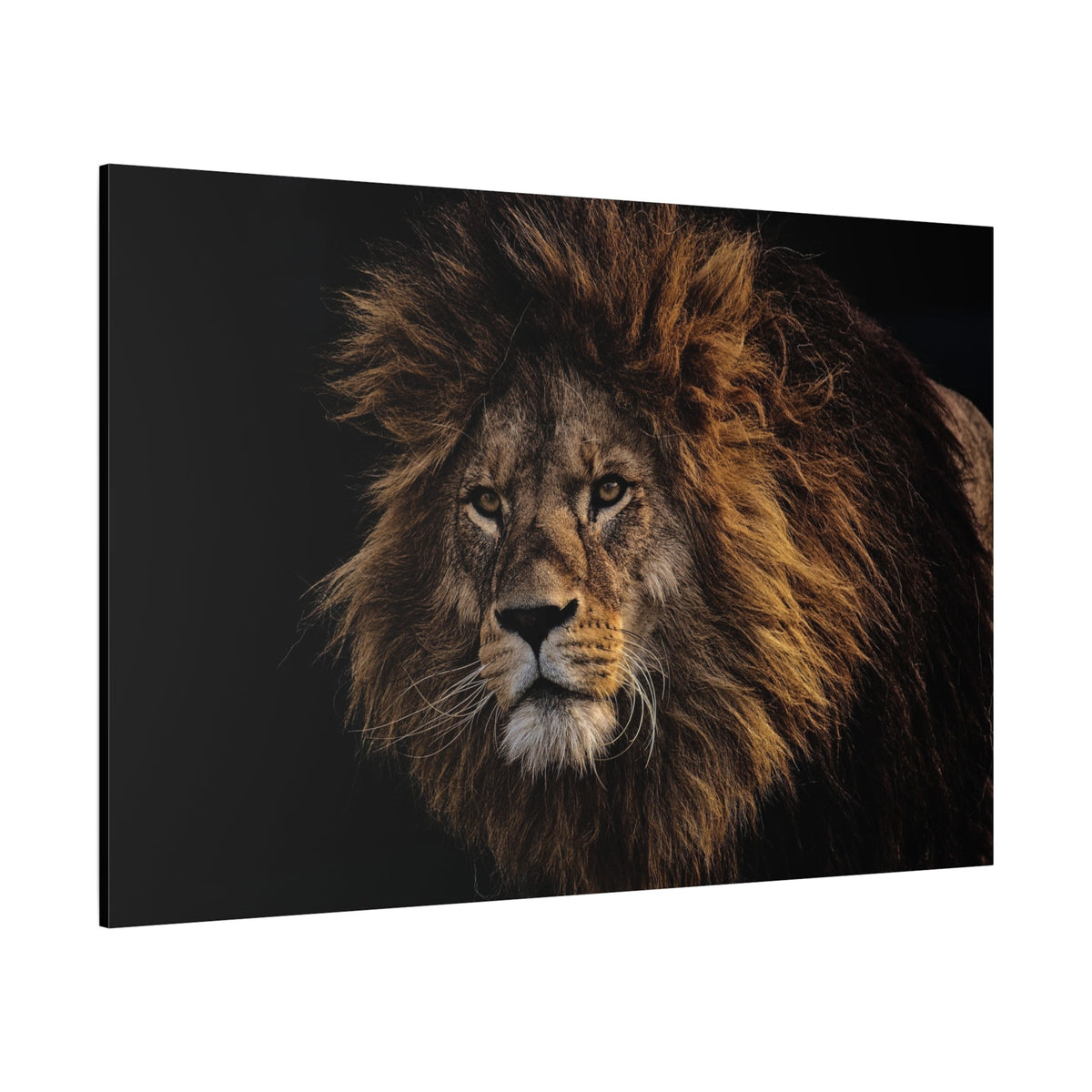 Majestic Lion Mane Canvas Wall Art - ART OF ROYALS