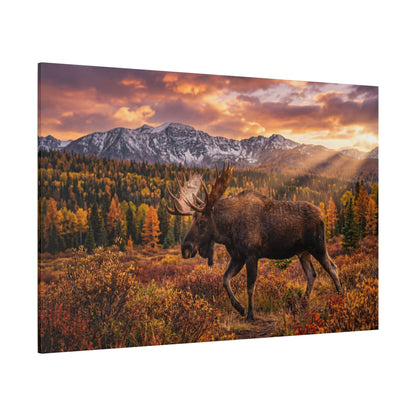 Majestic Moose in Autumn Wilderness Canvas Wall Art – Mountain Sunset Wildlife Decor - ART OF ROYALS