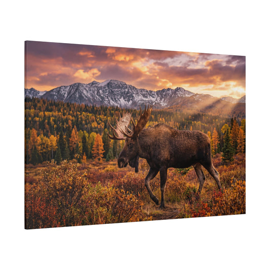 Majestic Moose in Autumn Wilderness Canvas Wall Art – Mountain Sunset Wildlife Decor - ART OF ROYALS