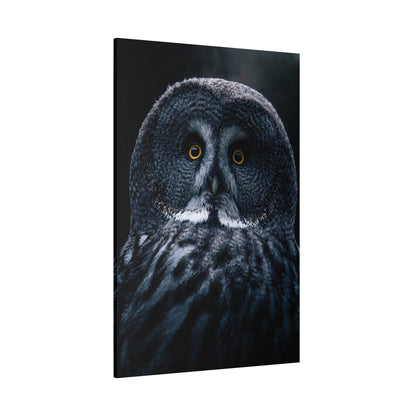 Majestic Owl Canvas Wall Art – Enchanting Forest Night Décor - ART OF ROYALS