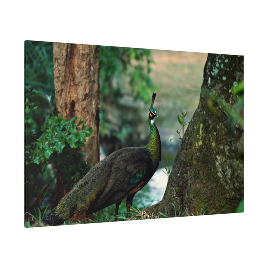 Majestic Peacock Canvas Wall Art – Elegant Wildlife Decor for Home & Office Spaces - ART OF ROYALS