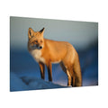Majestic Red Fox Canvas Wall Art – Wild Beauty and Grace