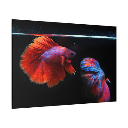 Majestic Siamese Fighting Fish Canvas Wall Art – Vibrant Betta Fish Print for Elegant Home Decor - ART OF ROYALS