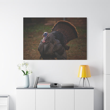 Majestic Turkey Bird Canvas Wall Art – Luxury Rustic Wildlife Nature Print - ART OF ROYALS