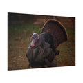 Majestic Turkey Bird Canvas Wall Art – Luxury Rustic Wildlife Nature Print