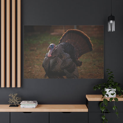 Majestic Turkey Bird Canvas Wall Art – Luxury Rustic Wildlife Nature Print - ART OF ROYALS