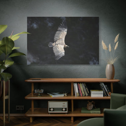 Majestic Vulture Canvas Wall Art – Luxury Birds of Prey Wildlife Canvas Print - ART OF ROYALS