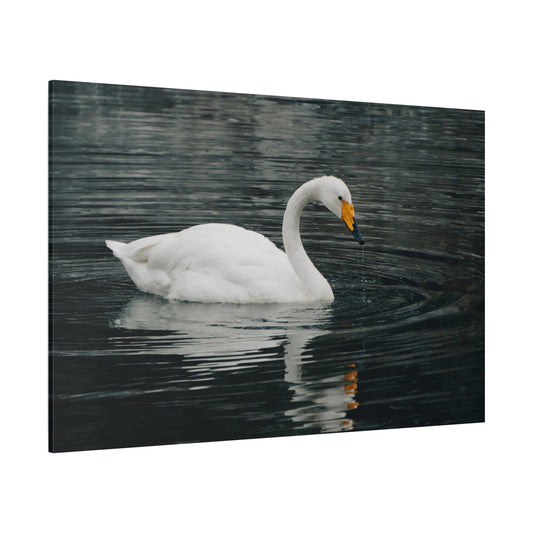 Majestic White Swan Canvas Wall Art – Serenity and Grace - ART OF ROYALS