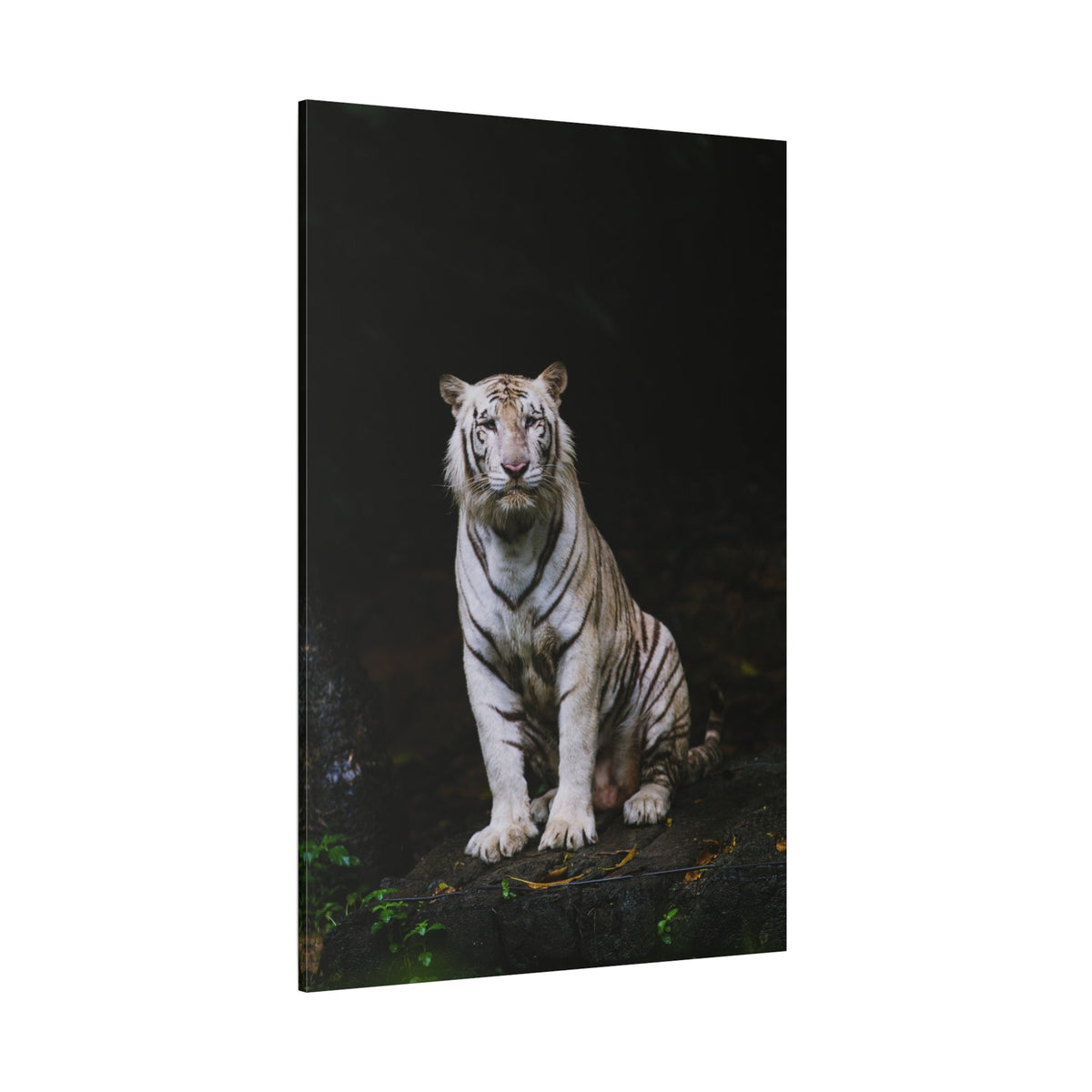 Majestic White Tiger Canvas Wall Art – A Fierce Beauty - ART OF ROYALS