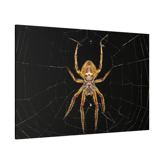Mysterious Spider Web Canvas Wall Art – Nature's Intricate Design - ART OF ROYALS