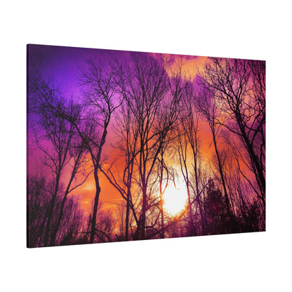 Mystical Bare Trees – Winter’s Silent Elegance - ART OF ROYALS