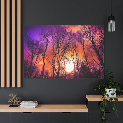 Mystical Bare Trees – Winter’s Silent Elegance - ART OF ROYALS