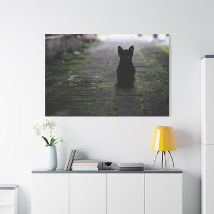 Mystical Black Cat Canvas Wall Art – Elegance Under the Stars - ART OF ROYALS