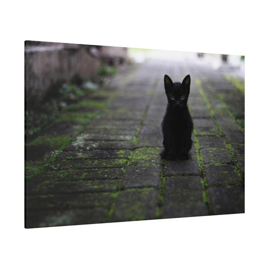 Mystical Black Cat Canvas Wall Art – Elegance Under the Stars - ART OF ROYALS