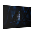 Mystical Eurasian Pygmy Owl Canvas Wall Art – Forest Wildlife