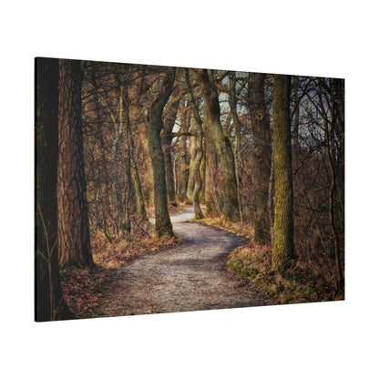 Mystical Forest Path – A Walk into Nature’s Wonderland - ART OF ROYALS