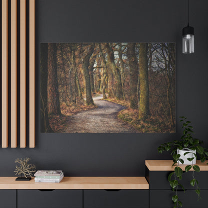Mystical Forest Path – A Walk into Nature’s Wonderland - ART OF ROYALS