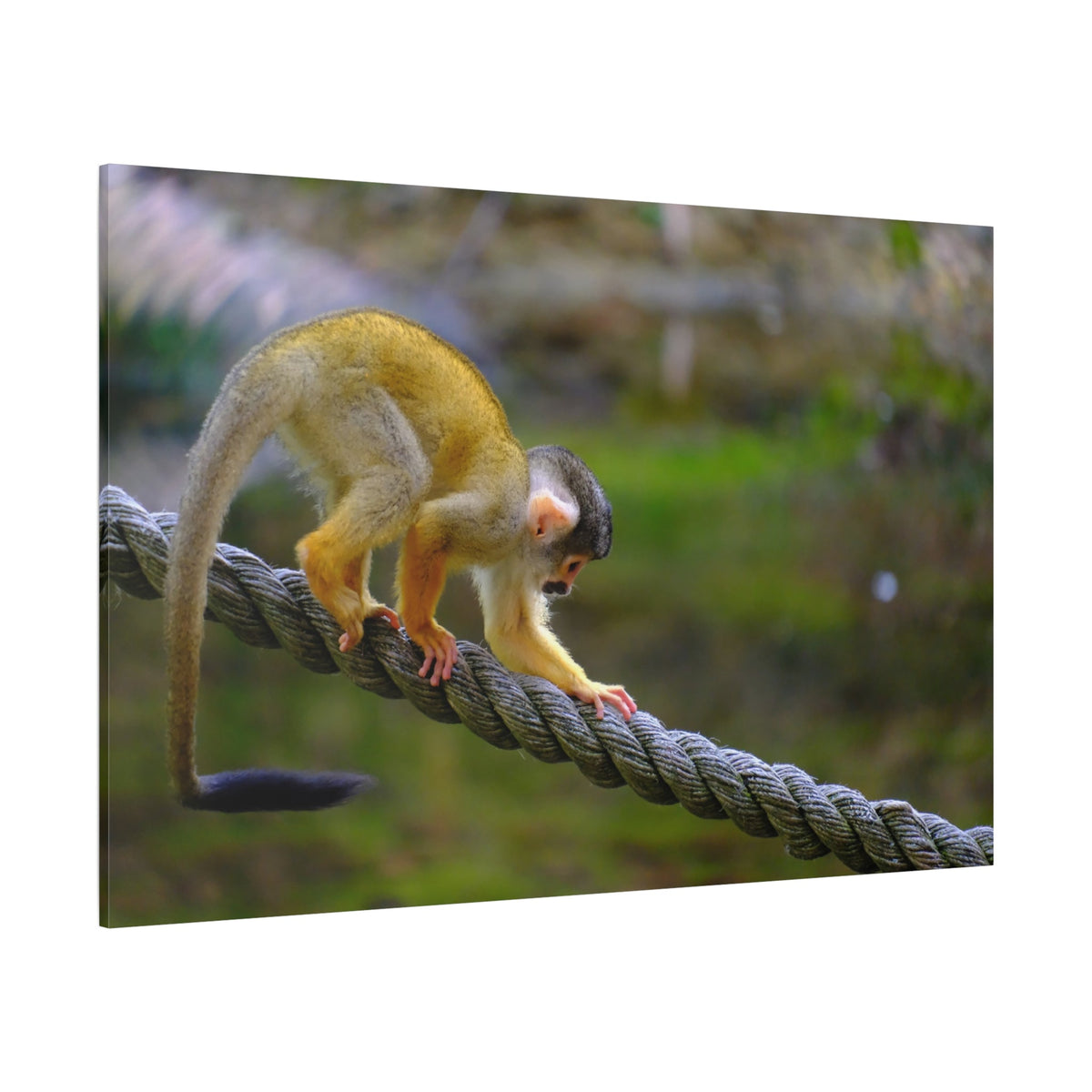 Playful Monkey – A Symbol of Curiosity & Joy - ART OF ROYALS