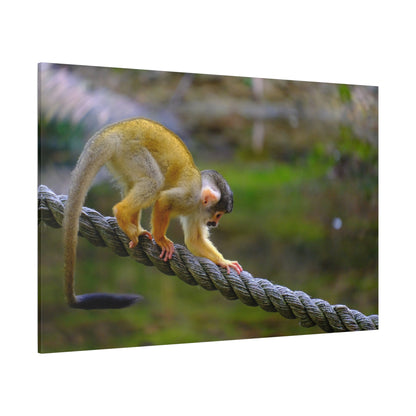Playful Monkey – A Symbol of Curiosity & Joy - ART OF ROYALS